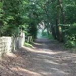 Moderne Im Skandinavischen Stil Am Waldrand * Schwielowsee