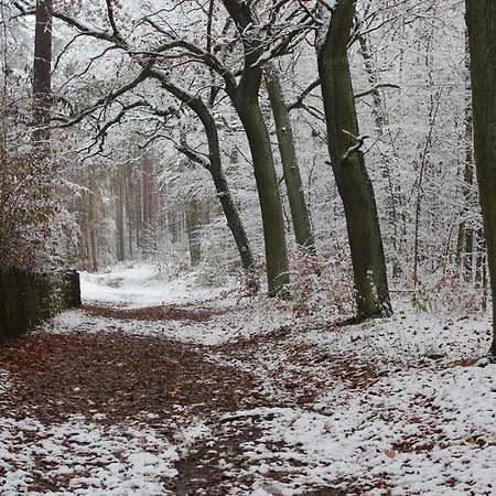 Moderne Im Skandinavischen Stil Am Waldrand Apartment *