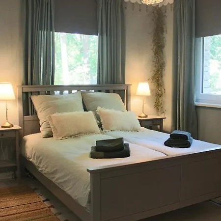 Moderne Im Skandinavischen Stil Am Waldrand