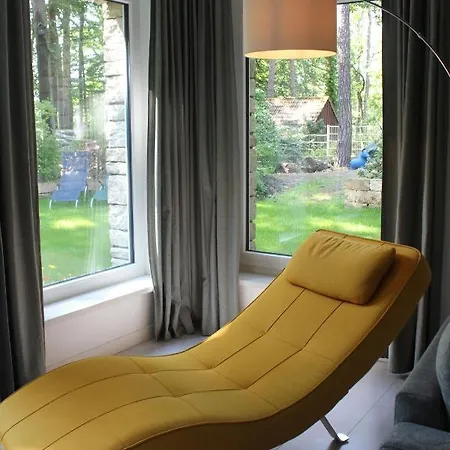 Moderne Im Skandinavischen Stil Am Waldrand