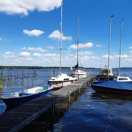 Moderne Im Skandinavischen Stil Am Waldrand