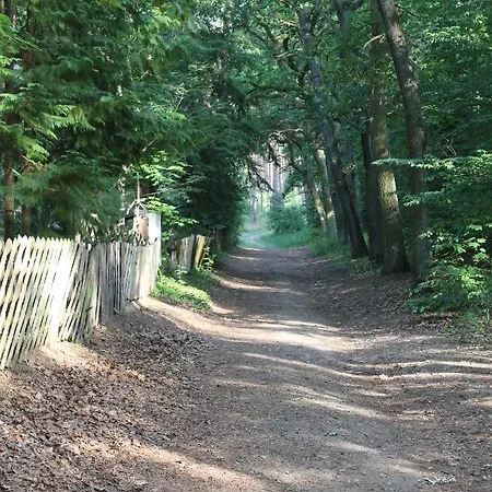 Moderne Im Skandinavischen Stil Am Waldrand * Schwielowsee