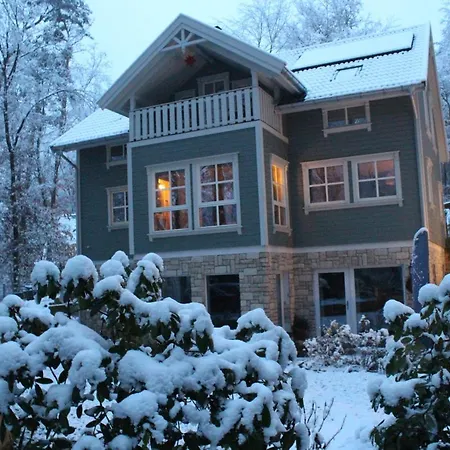 Moderne Im Skandinavischen Stil Am Waldrand