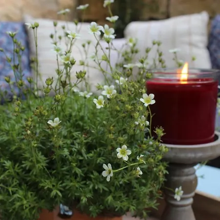 Apartment Moderne Im Skandinavischen Stil Am Waldrand Schwielowsee