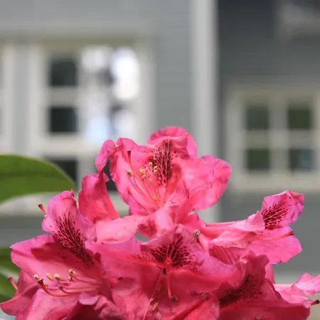 Moderne Im Skandinavischen Stil Am Waldrand Apartment *