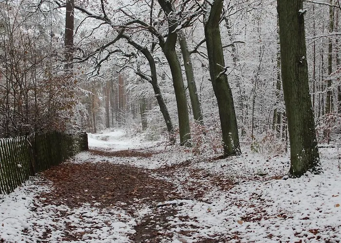 Moderne Im Skandinavischen Stil Am Waldrand Lägenhet *