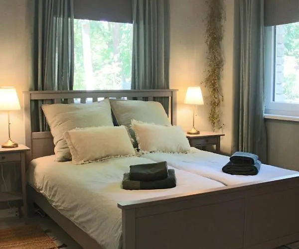 Moderne Im Skandinavischen Stil Am Waldrand