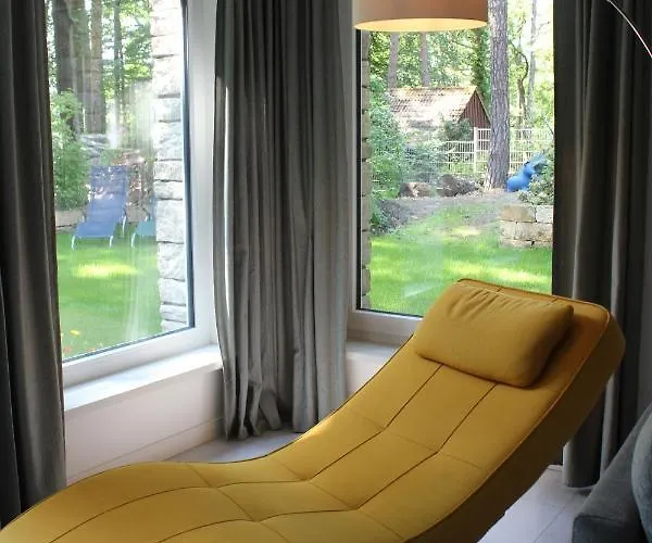 Moderne Im Skandinavischen Stil Am Waldrand