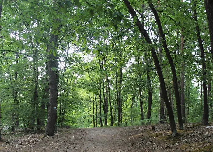 Lägenhet Moderne Im Skandinavischen Stil Am Waldrand