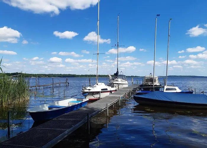 Moderne Im Skandinavischen Stil Am Waldrand