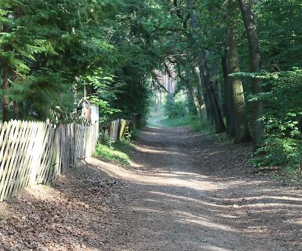 Moderne Im Skandinavischen Stil Am Waldrand * Schwielowsee