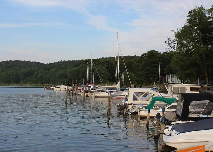 Moderne Im Skandinavischen Stil Am Waldrand Lägenhet