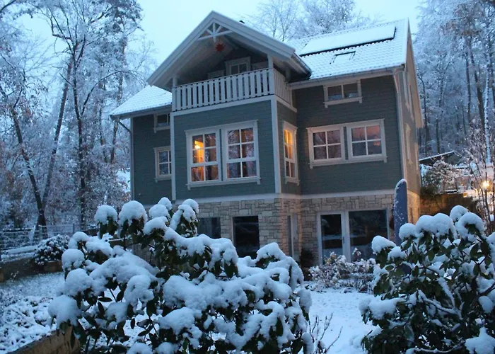 Moderne Im Skandinavischen Stil Am Waldrand