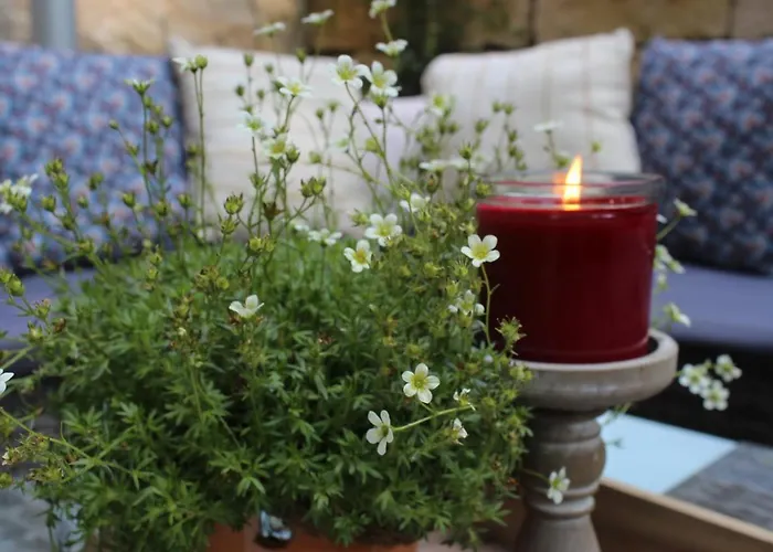 Lägenhet Moderne Im Skandinavischen Stil Am Waldrand Schwielowsee