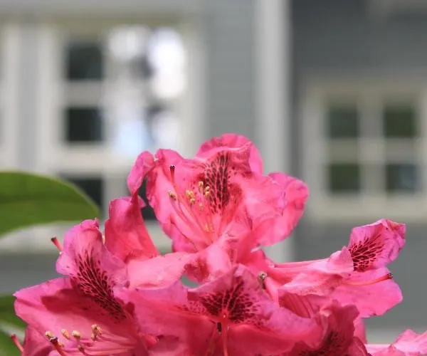 Moderne Im Skandinavischen Stil Am Waldrand Lägenhet *